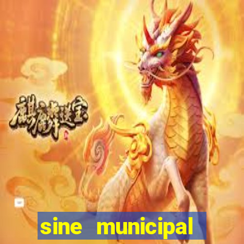 sine municipal porto velho